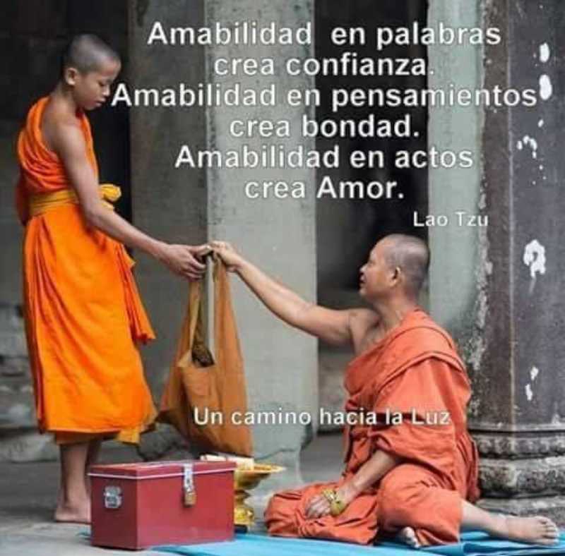 Tarot Favorito